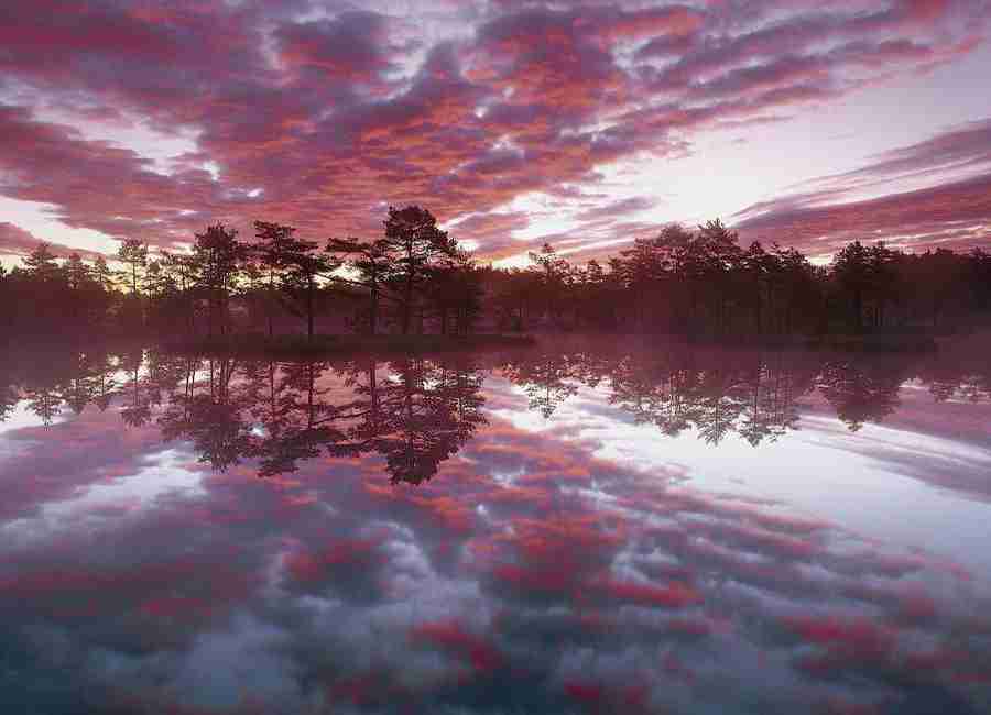 中国带货主播排行榜2021（2021全网带货主播排名）