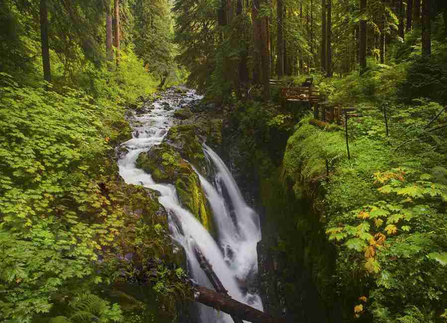 带货主播的心得（如何做好带货主播的心得）