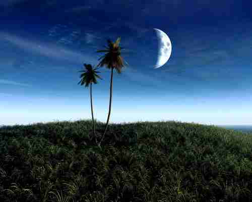 带货主播合同模板免费（主播带货合作合同模板）