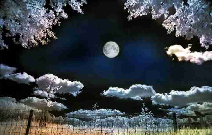 电商主播和带货主播的区别（什么叫电商直播带货）