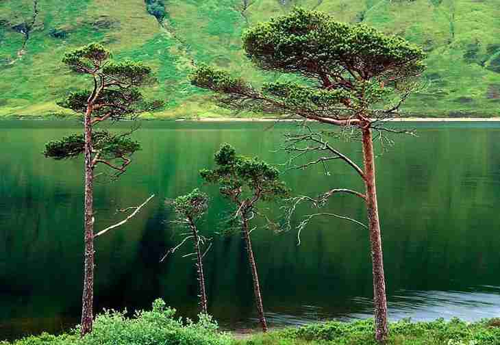 直播间带货怎么带（直播是怎样带货的）