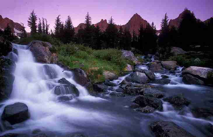 2021抖音带货直播前景（2021抖音直播带货平台怎么收费）