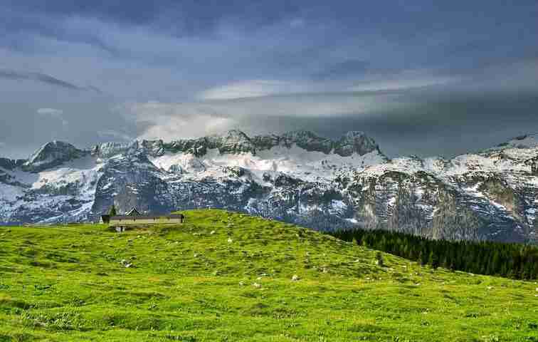 短视频带货图片大全（免费提供短视频带货）