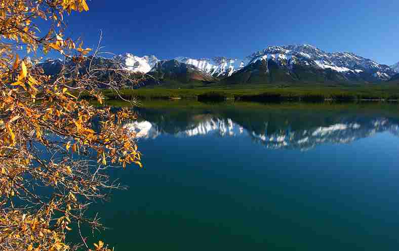 视频带货的视频哪里来（抖音视频带货的视频哪里来）