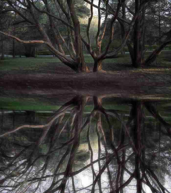 直播带货适合什么人做（做直播带货主播要具备什么）