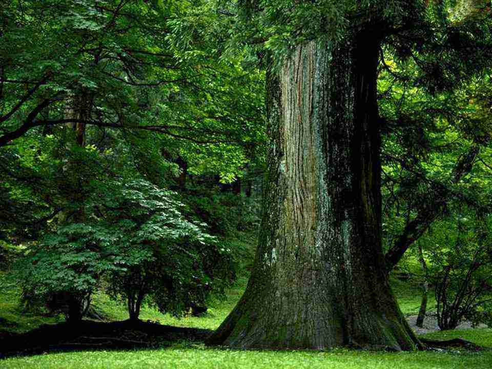 网上招聘带货主播（网上招聘带货主播底薪加股份制）
