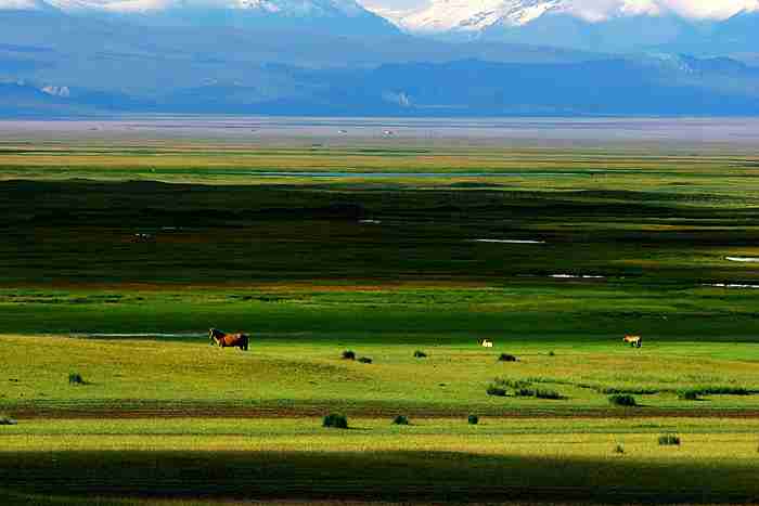 免费提供短视频带货（免费提供短视频带货真的假的）