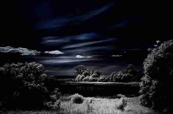 直播带货培训机构返还（有直播带货培训班吗）