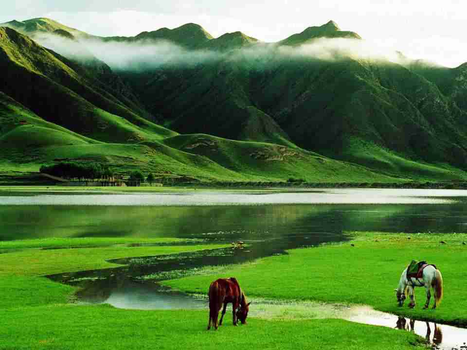 主播带货如何带法操作（直播带货的方法）