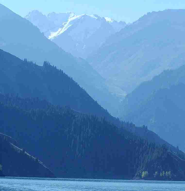 直播带货是什么样的模式（直播带货的三种模式）