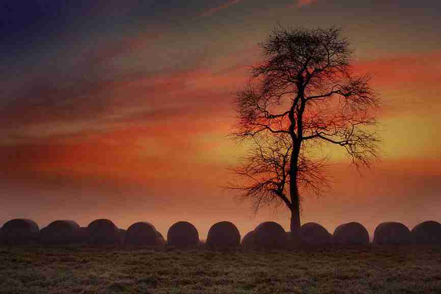 抖音直播带货怎么样可以涨到购物粉（抖音带货怎么涨粉丝）