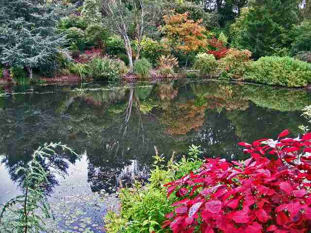比较好的带货直播平台有哪些（现在直播带货的平台有哪些）