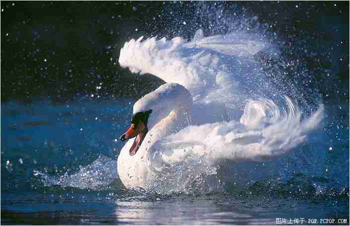 抖音直播带货货源从哪里来（抖音直播间带货货源在哪里找的）