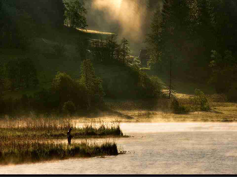 2020全网带货主播排名（2020年直播带货总榜）