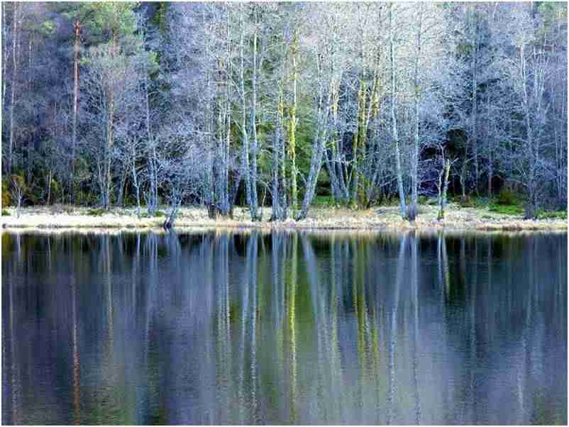 带货直播背景图片（带货主播背景布）