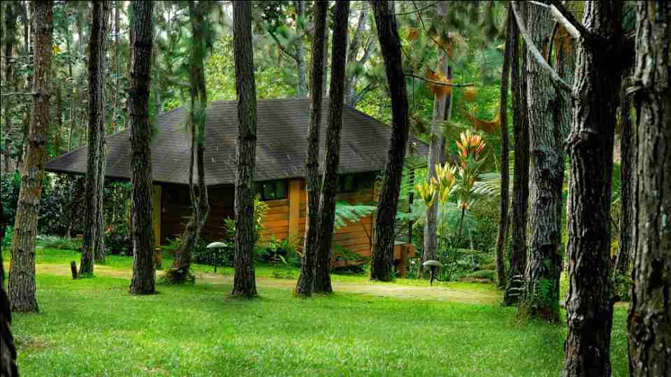 淘宝卖货货源哪里找（淘宝去哪儿找货源）