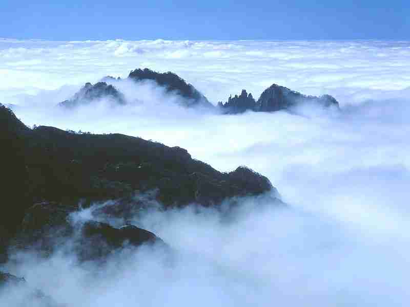 网红带货排行前十的主播雪梨（网红雪梨直播带货）