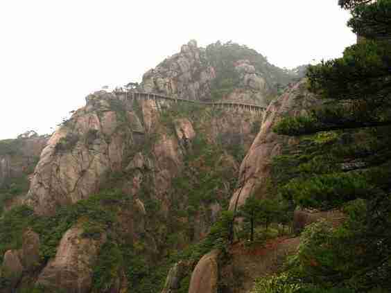 国外网络直播带货（国外流行直播带货吗?）