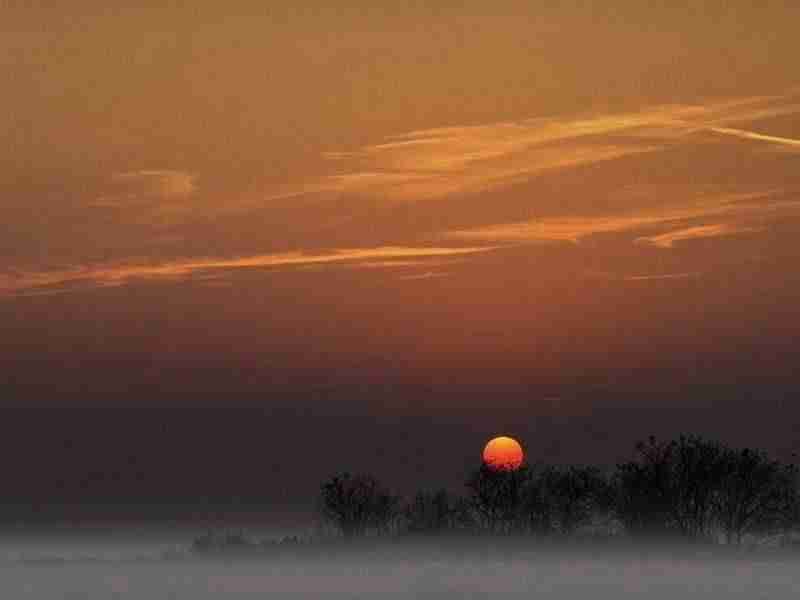 直播带货有哪些营销知识（直播带货属于什么营销）