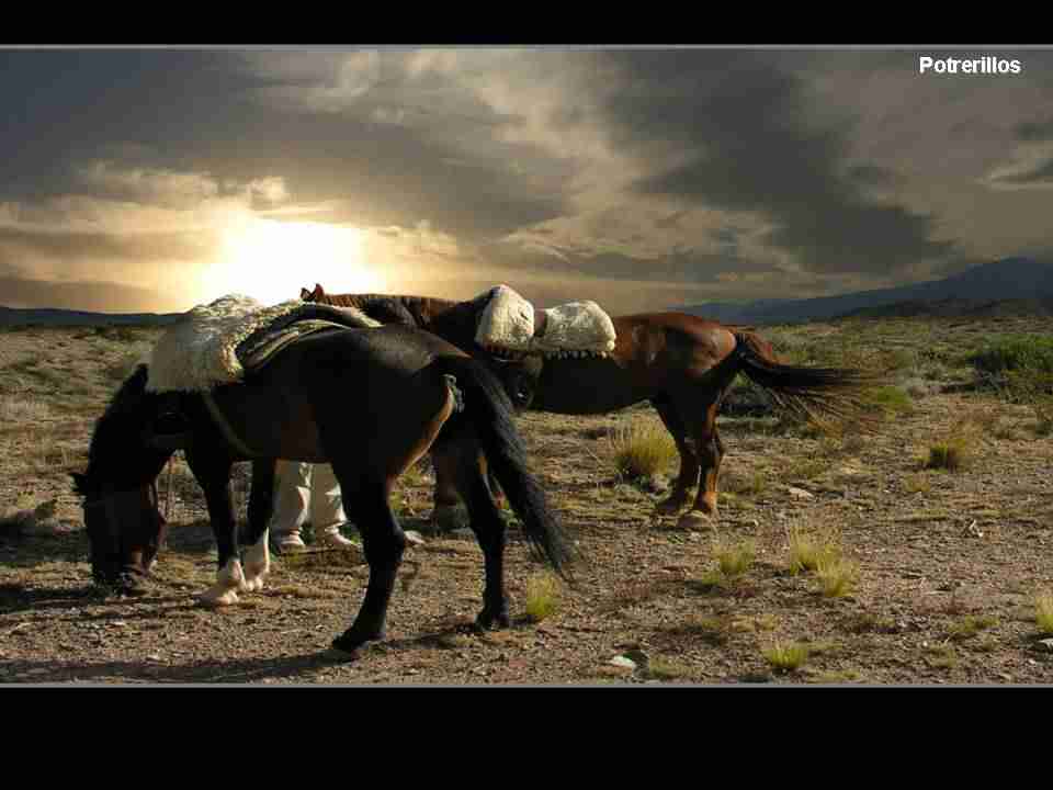 抖音直播间带货货源在哪里找的（抖音直播带货是自己找货源吗）