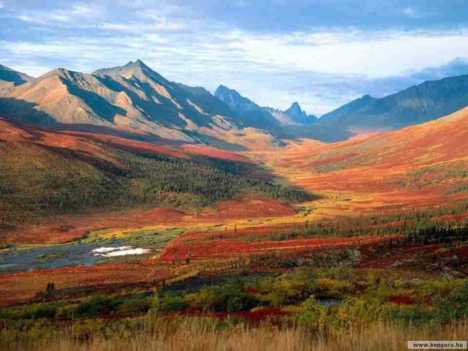 直播带货咋做（如何做直播带货）