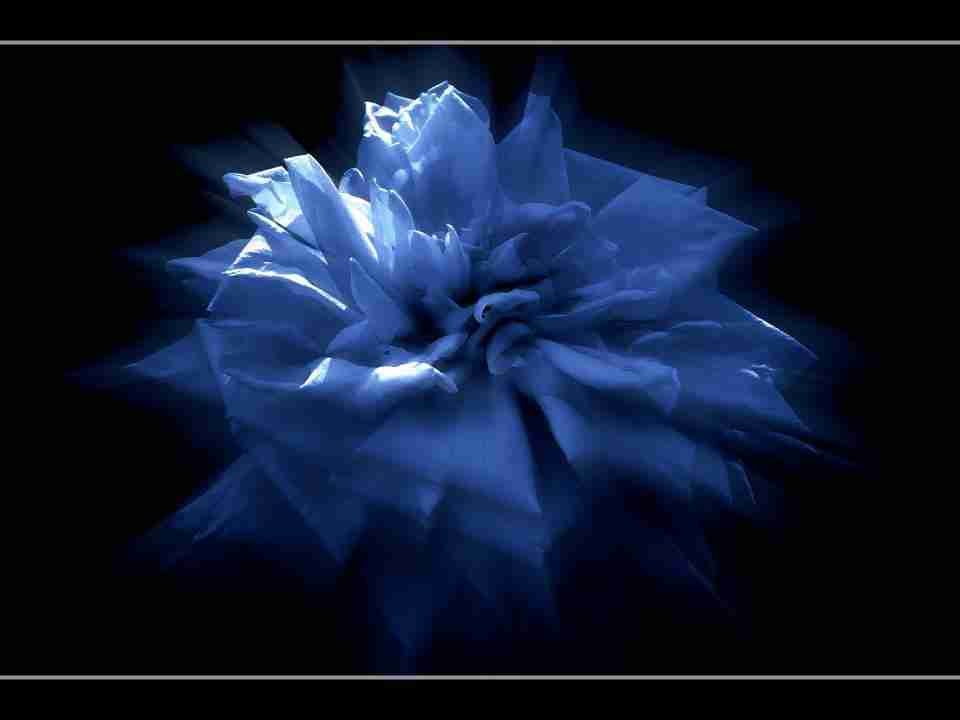 带货主播销售额排行（直播带货销售榜）