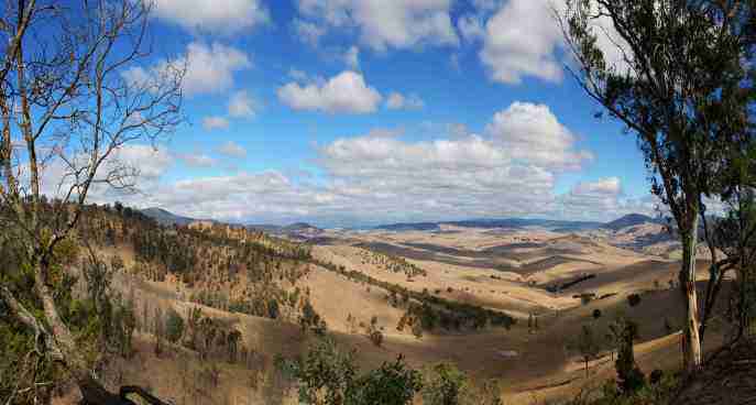 带货女主播排名（带货女主播排行）