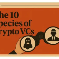 奇葩 VC 大赏：10 种典型加密 VC，你遇到过几种？