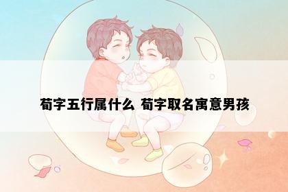 荀字五行属什么 荀字取名寓意男孩