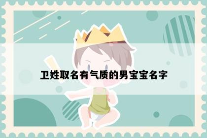 卫姓取名有气质的男宝宝名字