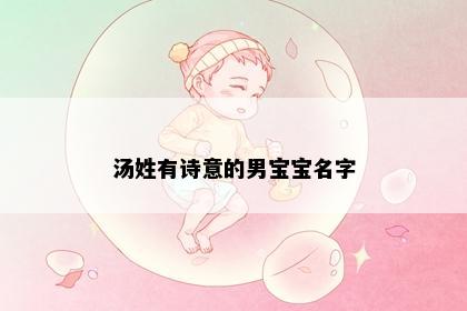 汤姓有诗意的男宝宝名字
