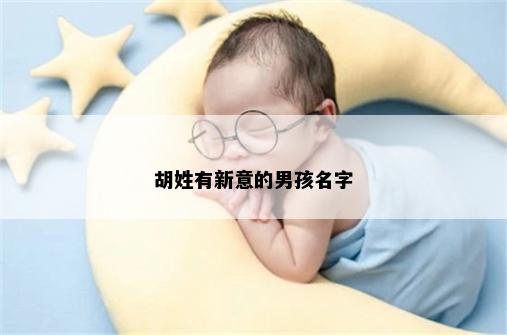 胡姓有新意的男孩名字