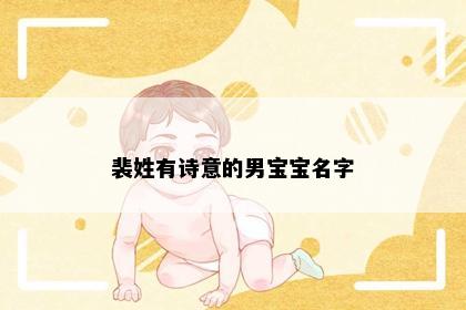 裴姓有诗意的男宝宝名字
