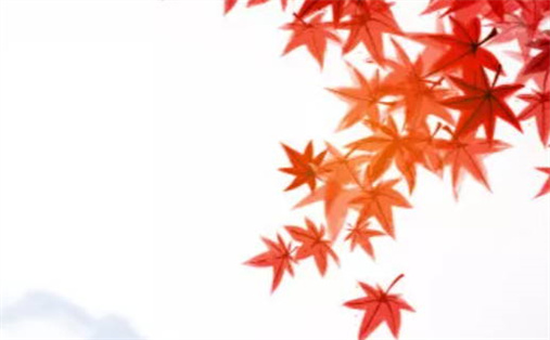 2025年02月13日动土好不好 宜动土修造吉日查询