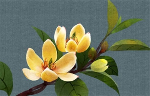 2025年04月19日动土吉日查询 今日建筑房屋好吗