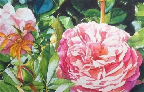 2027年农历腊月初三动土日子如何 今日动土好不好