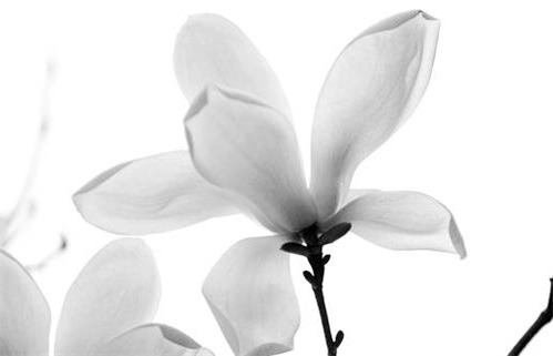 2027年农历十月十一动土吉日查询 今日动土好吗