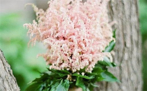 2042年09月24日结婚日子如何 是办喜事好日子吗