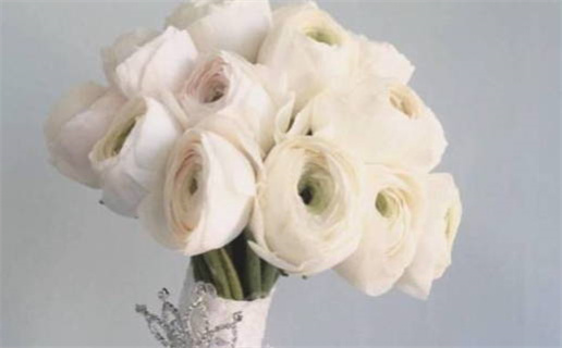 2031年10月20日结婚好吗 适不适合办婚礼