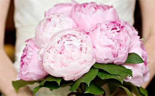 2035年02月17日是不是结婚吉日 办喜事吉利吗