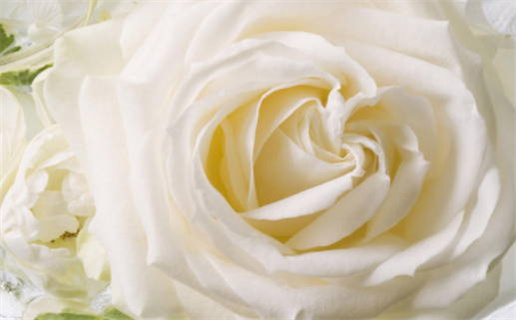 2035年农历三月十一是结婚好日子吗 是办喜事好日子吗