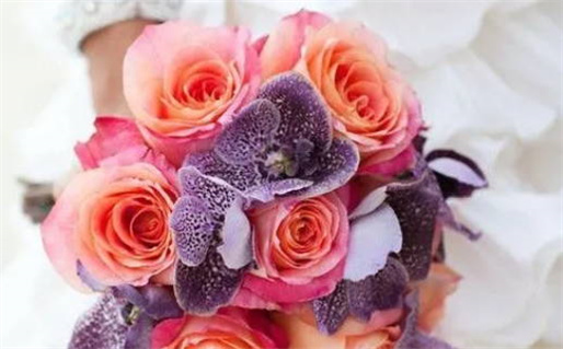 2033年农历冬月廿三结婚好不好 今日办婚礼好吗