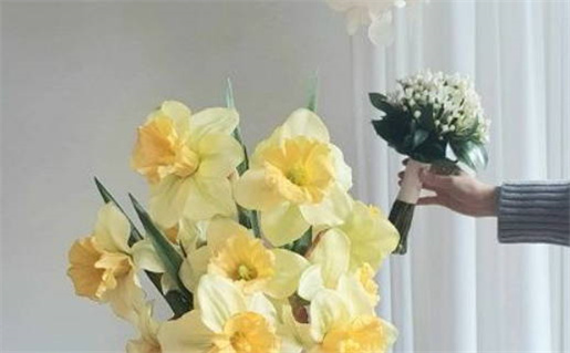 2037年农历正月初七结婚黄道吉日 今日办婚礼好吗 2037年农历正月初七结婚黄道吉日 今日办婚礼好吗