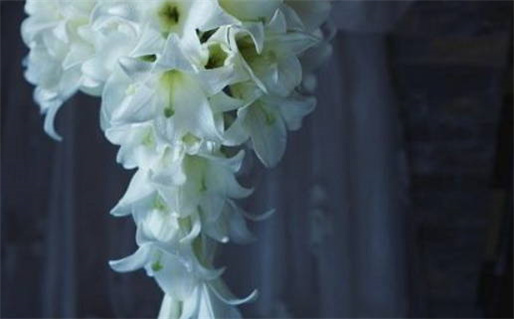 2026年农历冬月初一结婚吉日查询 今日办喜事好吗