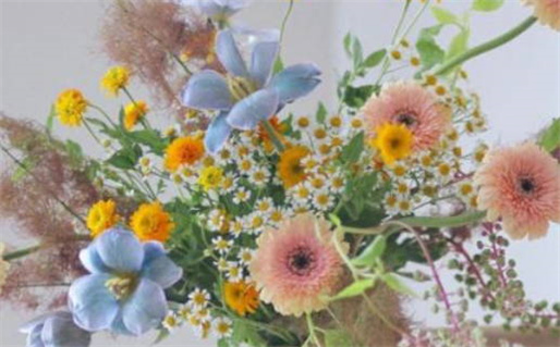 2028年农历五月初十是不是结婚吉日 办喜事吉利吗