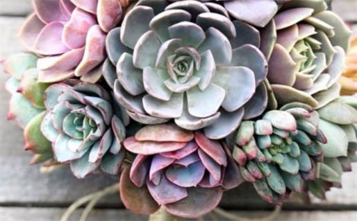 2034年农历四月初一结婚好不好 宜办喜事吉日查询