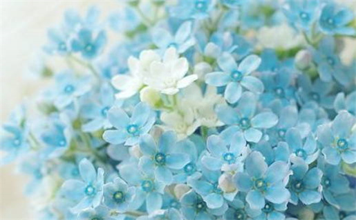 2026年04月24日结婚好吗 今日办婚礼好吗