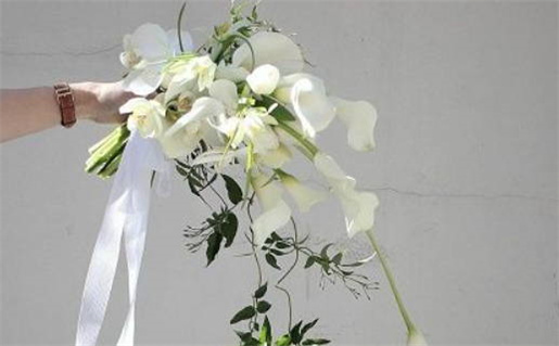 2025年农历三月十九结婚好吗 今日办婚礼好不好