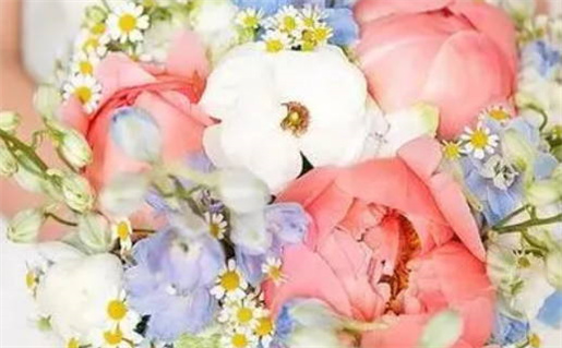 2026年07月26日领证好吗 登记领证吉利吗