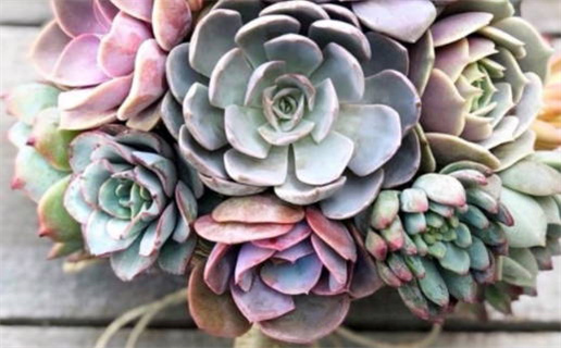 2025年农历闰六月初四领证好吗 宜领证吉日查询